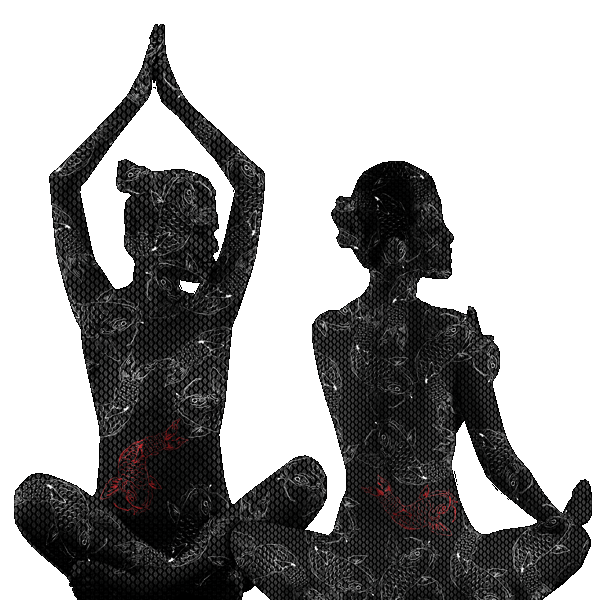 King Fu Fusion to miejsce wszechstronne